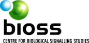 BIOSS